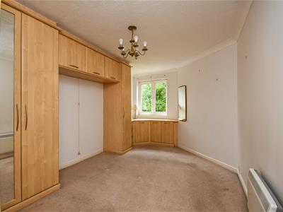 Picture 7